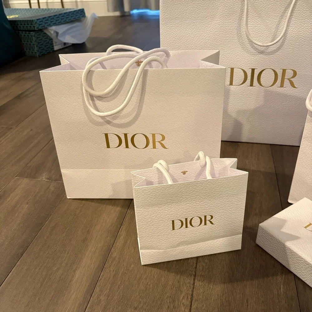 Dior Pebbled Bags from Nordstrom Roosevelt Field in Long Island, New York ~ New - Picture 2 of 7